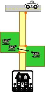 urban cowgirl Horse pasture