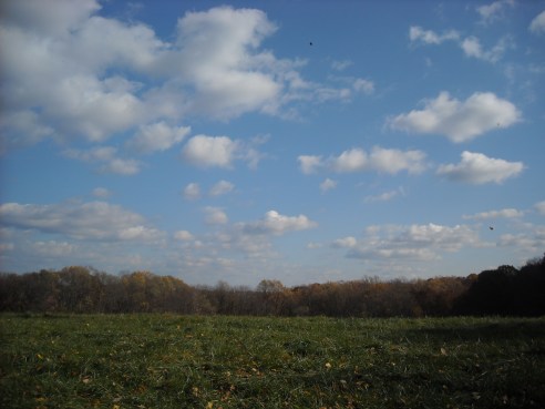 Hiking in Holmdel Park