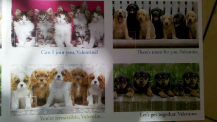 Puppy Valentines Cards