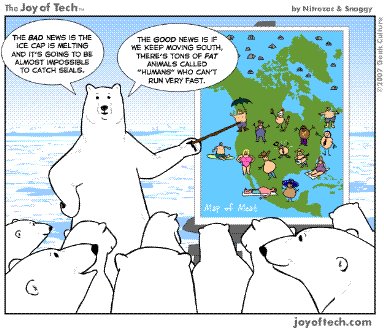 funny polar bears