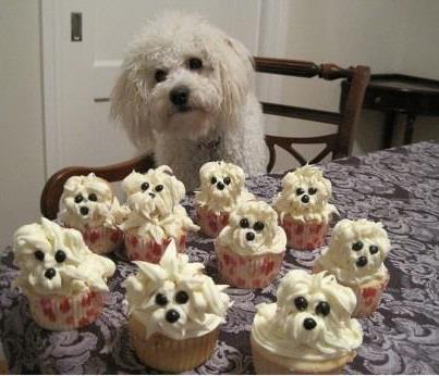 cute puppy cupcakes