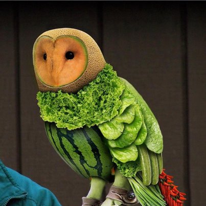 Fruit owl owl made of watermelon