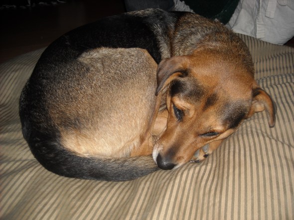 Thanksgiving and Crafts 2012 058