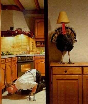 Funny Thanksgiving Hiding Turkey