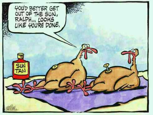 Thanksgiving Funny Turkey
