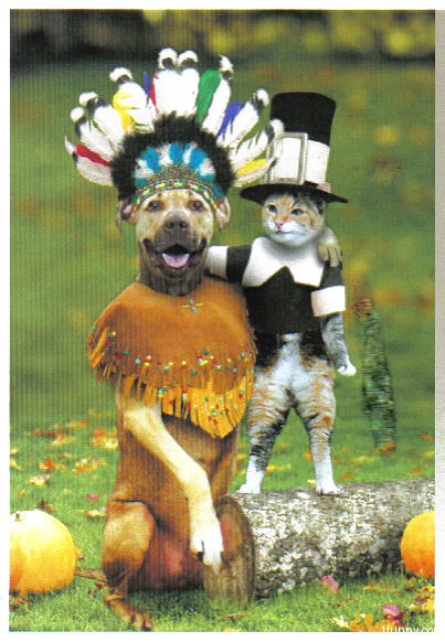 Thanksgiving Thanksgiving pet costumes