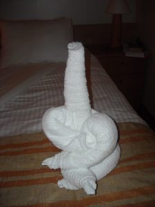 towel animal