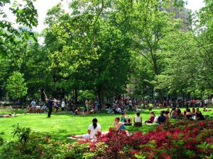 4593842905_750_rittenhouse-square