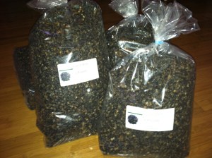 El Salvador Sunday 198