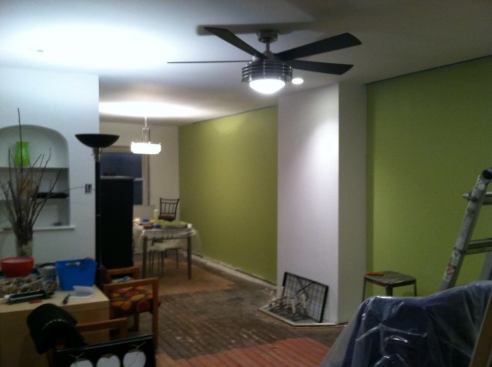 I painted the walls light great and added lighting fixtures.