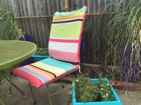 Notice how the teal stripe matches my spray painted portulaca planter PERFECTLY! 