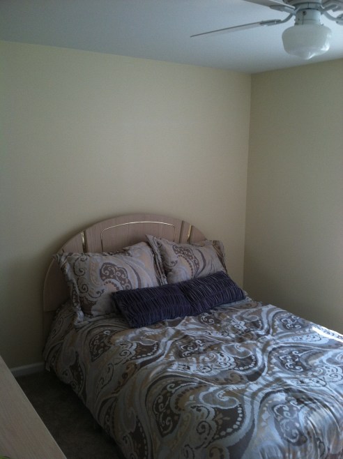 The Master Bedroom... before.