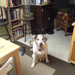 And seriously, how could you not love this face?